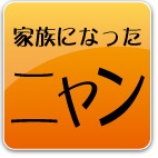 家族になったニャン